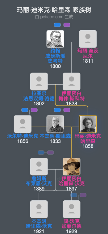 玛丽·迪米克·哈里森家族树全览