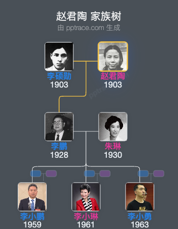 赵君陶 家族树全览