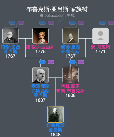 布鲁克斯·亚当斯家族树全览