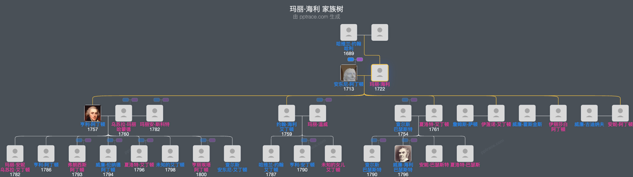 玛丽·海利家族树全览