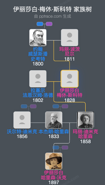 伊丽莎白·梅休·斯科特家族树全览