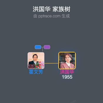 洪国华 家族树全览