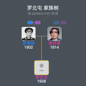 罗北屯 家族树全览