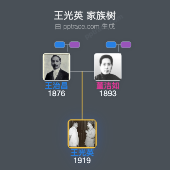 王光英 家族树全览