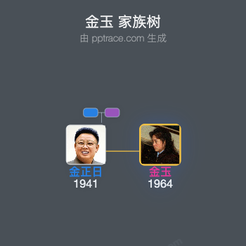 金玉 家族树全览