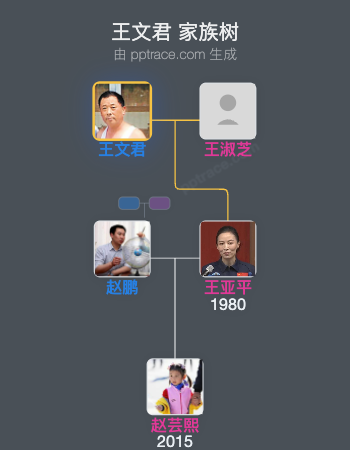 王文君家族树全览