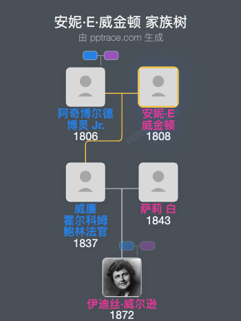 安妮·E·威金顿家族树全览