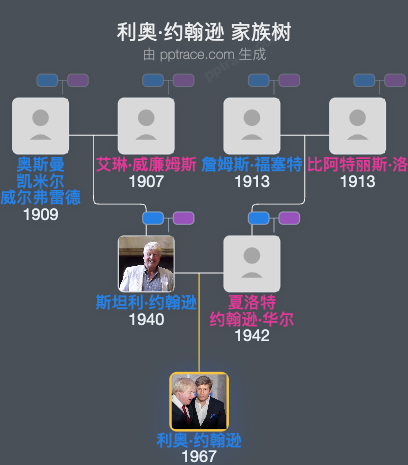 利奥·约翰逊家族树全览