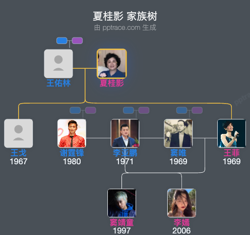 夏桂影 家族树全览