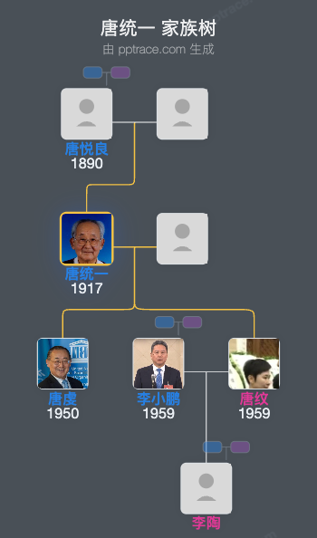 唐统一 家族树全览