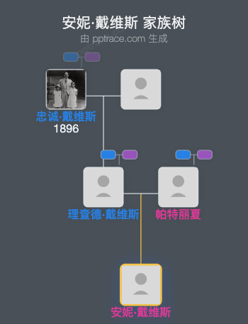 安妮·戴维斯家族树全览