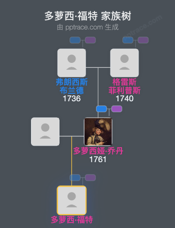 多萝西·福特家族树全览