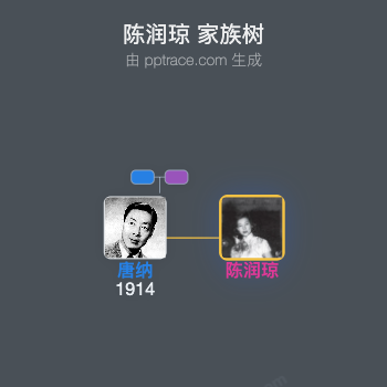 陈润琼 家族树全览