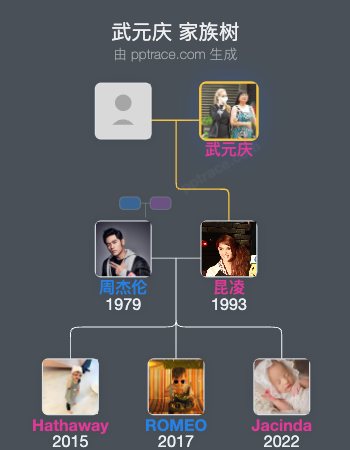 武元庆家族树全览