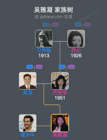 吴雅凝 家族树全览