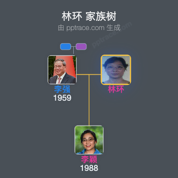 林环 家族树全览