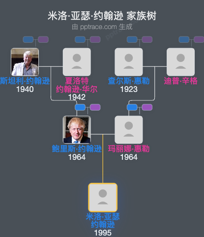 米洛·亚瑟·约翰逊家族树全览