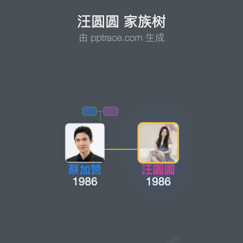 汪圆圆 家族树全览