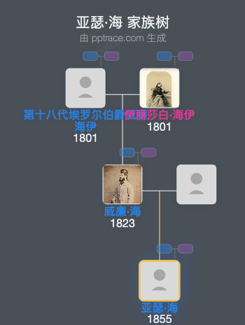 亚瑟·海家族树全览