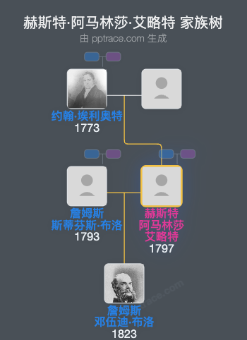 赫斯特·阿马林莎·艾略特家族树全览