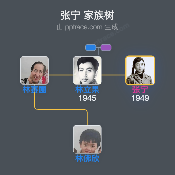 张宁 家族树全览