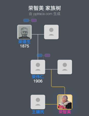 荣智美 家族树全览