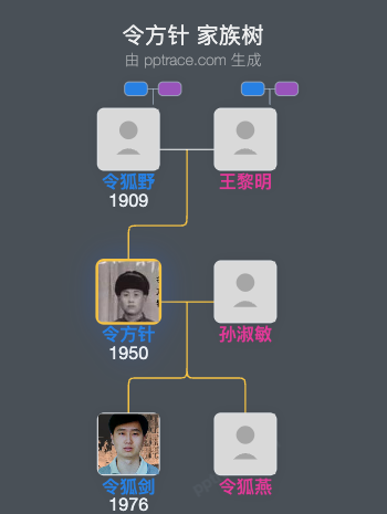 令方针 家族树全览
