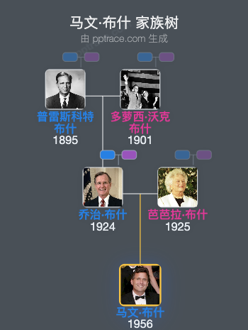 马文·布什 家族树全览