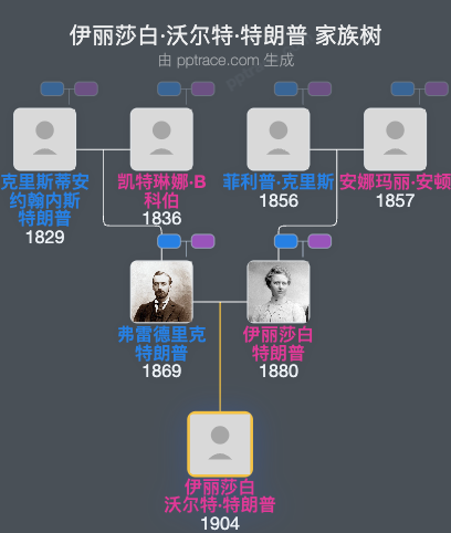 伊丽莎白·沃尔特·特朗普家族树全览