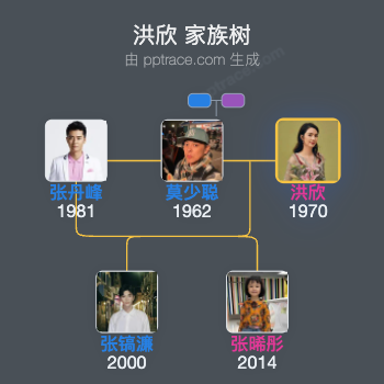 洪欣 家族树全览