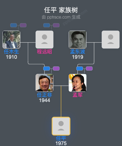 任平 家族树全览