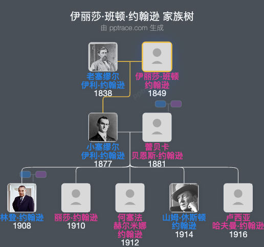 伊丽莎·班顿·约翰逊家族树全览