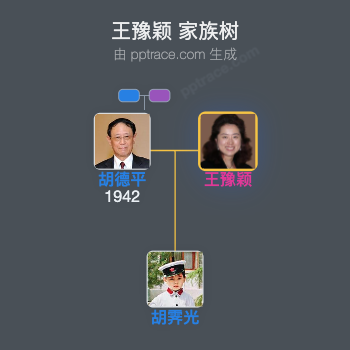 王豫颖 家族树全览
