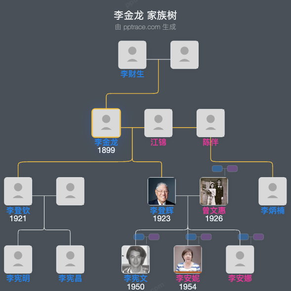 李金龙家族树全览