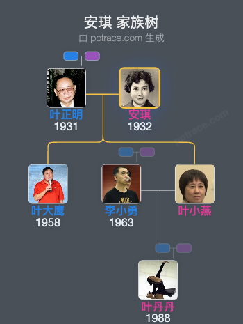 安琪 家族树全览