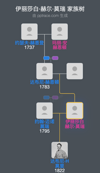 伊丽莎白·赫尔·莫瑞家族树全览
