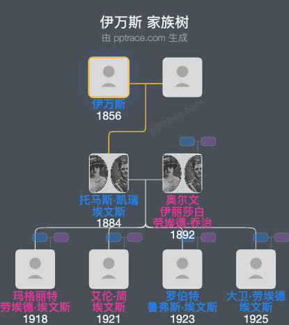 伊万斯家族树全览