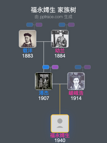 福永嫮生家族树全览