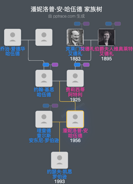 潘妮洛普·安·哈伍德家族树全览