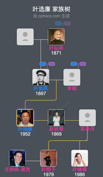 叶选廉 家族树全览