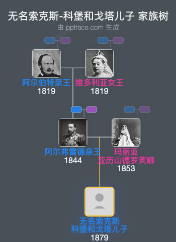 无名索克斯-科堡和戈塔儿子家族树全览