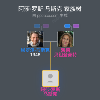 阿莎·罗斯·马斯克 家族树全览