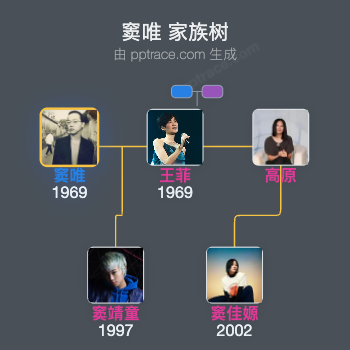 窦唯 家族树全览