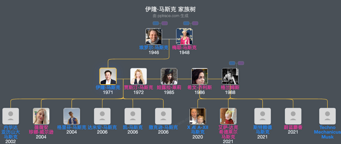 伊隆·马斯克 家族树全览