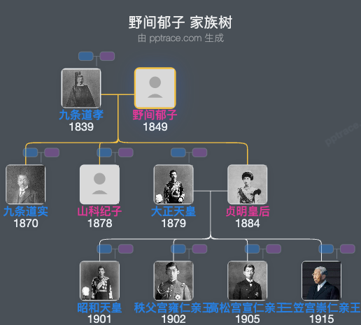 野间郁子家族树全览