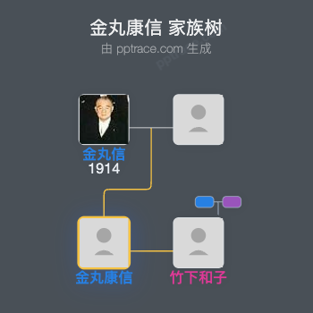 金丸康信家族树全览