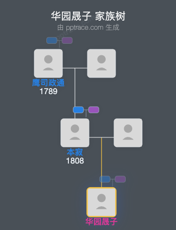 华园晟子家族树全览