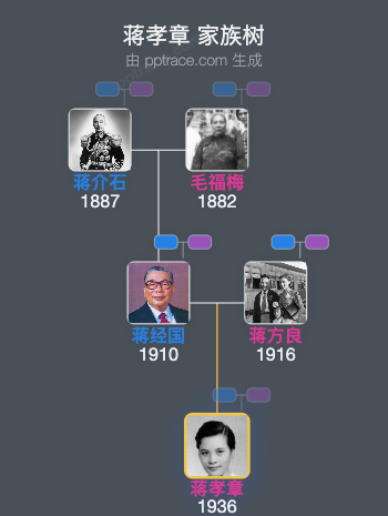 蒋孝章 家族树全览