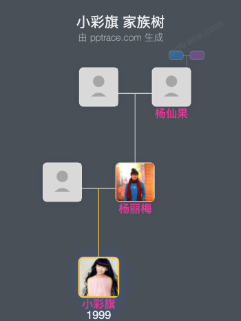 小彩旗 家族树全览