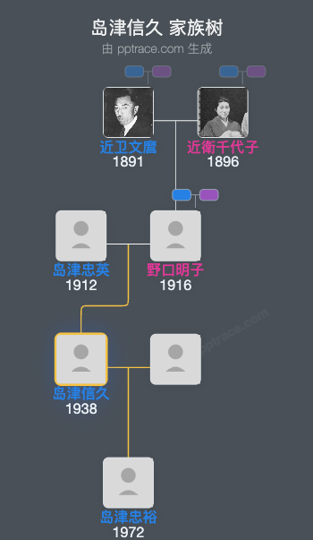 岛津信久家族树全览